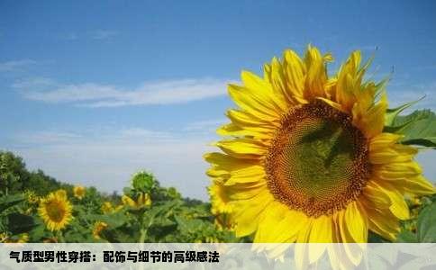 气质型男性穿搭：配饰与细节的高级感法