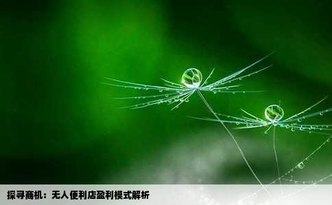 探寻商机：无人便利店盈利模式解析