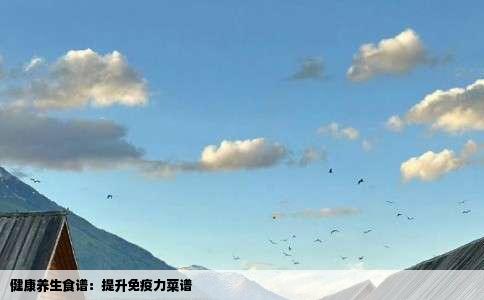 健康养生食谱：提升免疫力菜谱