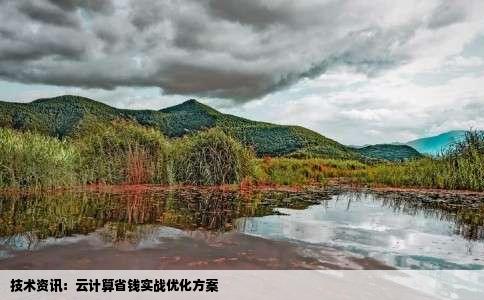 技术资讯：云计算省钱实战优化方案