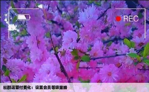 社群运营付费化：设置会员等级策略
