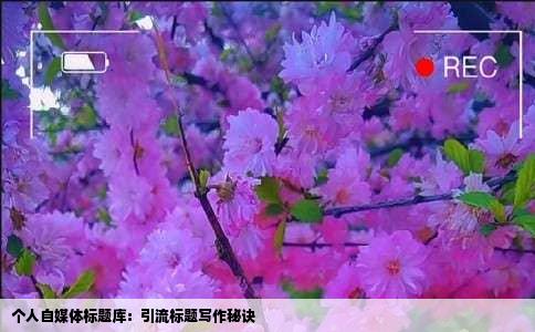 个人自媒体标题库：引流标题写作秘诀