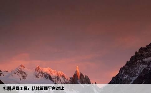 社群运营工具：私域管理平台对比