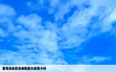 我是自由职业者我能办信用卡吗