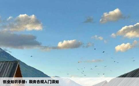 创业知识手册：税务合规入门须知