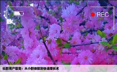 社群用户裂变：从小群体做到快速增长术