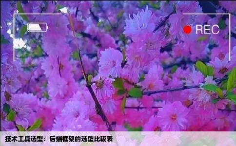 技术工具选型：后端框架的选型比较表