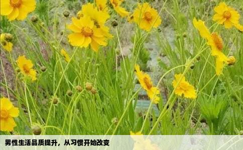 男性生活品质提升，从习惯开始改变