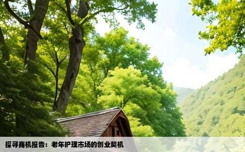探寻商机报告：老年护理市场的创业契机