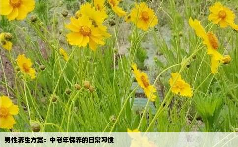 男性养生方案：中老年保养的日常习惯