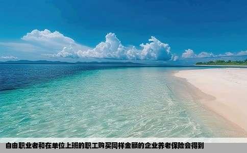 自由职业者和在单位上班的职工购买同样金额的企业养老保险会得到