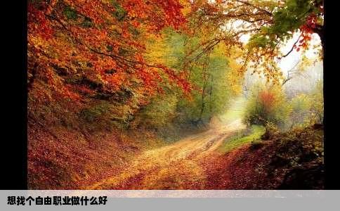 想找个自由职业做什么好