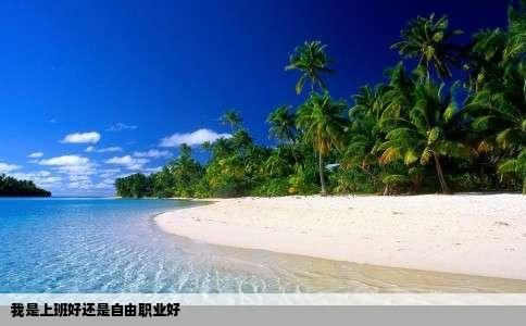 我是上班好还是自由职业好