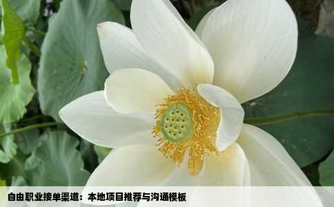 自由职业接单渠道：本地项目推荐与沟通模板