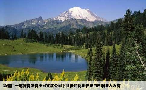 急需用一笔钱有没有小额贷款公司下款快的我现在是自由职业人没有