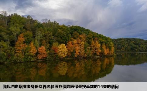 我以自由职业者身份交养老和医疗保险医保是按基数的14交的请问