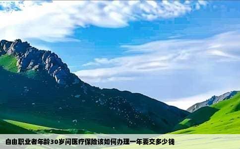 自由职业者年龄30岁问医疗保险该如何办理一年要交多少钱