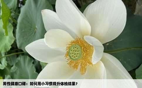 男性健康口碑：如何用小习惯提升体检结果？