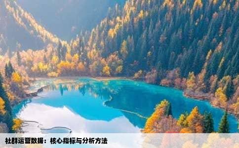 社群运营数据：核心指标与分析方法