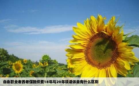 自由职业者养老保险绞费18年与20年领退休金有什么区别