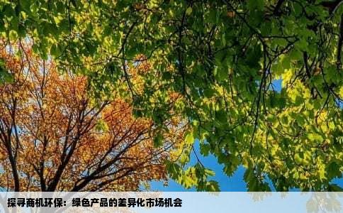 探寻商机环保：绿色产品的差异化市场机会