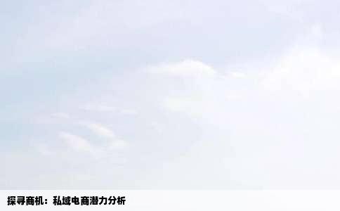 探寻商机：私域电商潜力分析