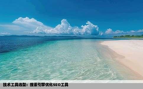 技术工具选型：搜索引擎优化SEO工具