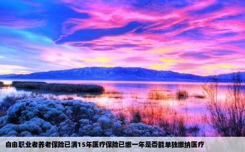 自由职业者养老保险已满15年医疗保险已缴一年是否能单独缴纳医疗