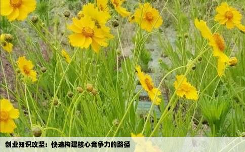 创业知识攻坚：快速构建核心竞争力的路径