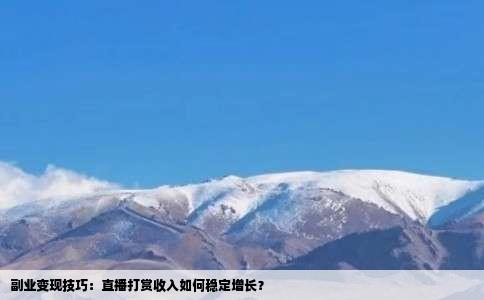 副业变现技巧：直播打赏收入如何稳定增长？