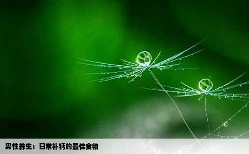 男性养生：日常补钙的最佳食物