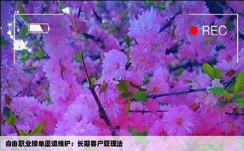 自由职业接单渠道维护：长期客户管理法