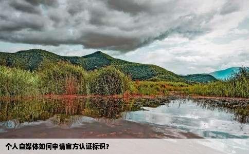 个人自媒体如何申请官方认证标识？