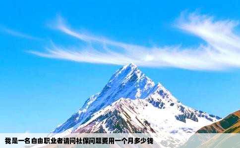 我是一名自由职业者请问社保问题费用一个月多少钱