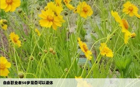 自由职业者50岁是否可以退休