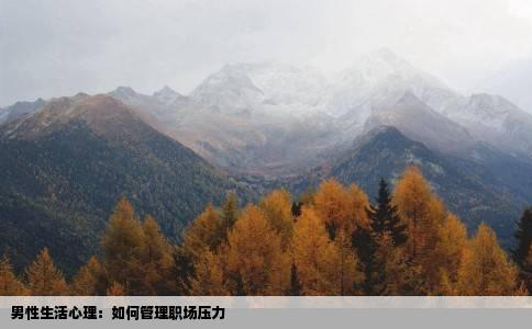 男性生活心理：如何管理职场压力