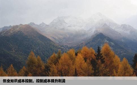创业知识成本控制，控制成本提升利润