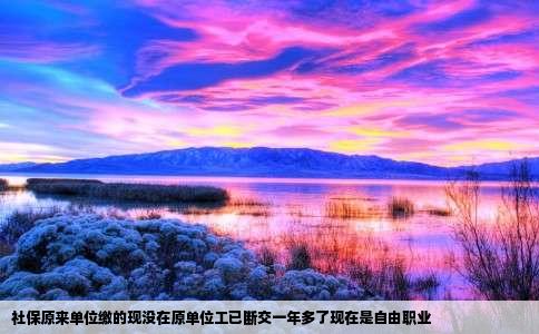社保原来单位缴的现没在原单位工已断交一年多了现在是自由职业