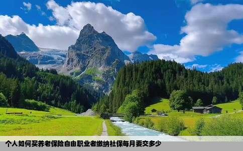 个人如何买养老保险自由职业者缴纳社保每月要交多少