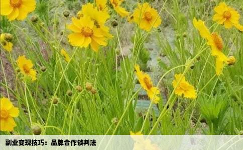 副业变现技巧：品牌合作谈判法