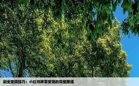 副业变现技巧：小红书种草变现的完整路径