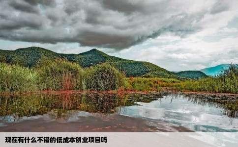 现在有什么不错的低成本创业项目吗