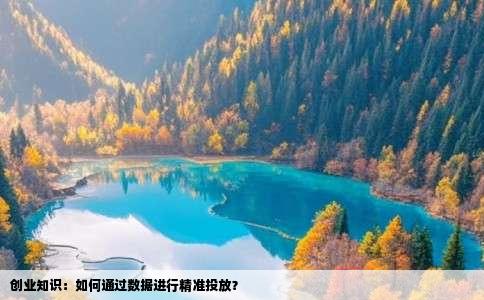 创业知识：如何通过数据进行精准投放？