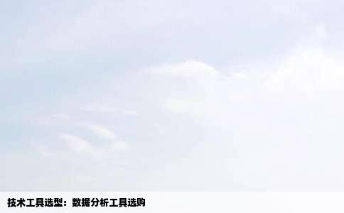 技术工具选型：数据分析工具选购