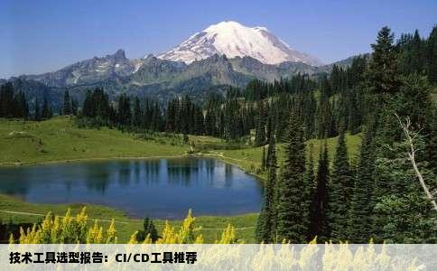 技术工具选型报告：CI/CD工具推荐