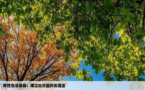男性生活幸福：建立社交圈的实用法