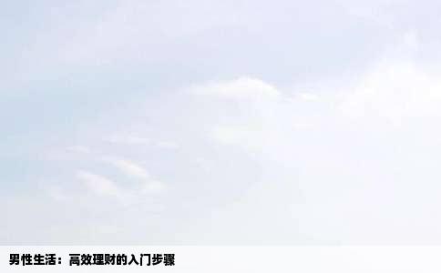 男性生活：高效理财的入门步骤