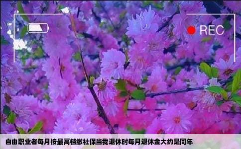 自由职业者每月按最高档缴社保当我退休时每月退休金大约是同年