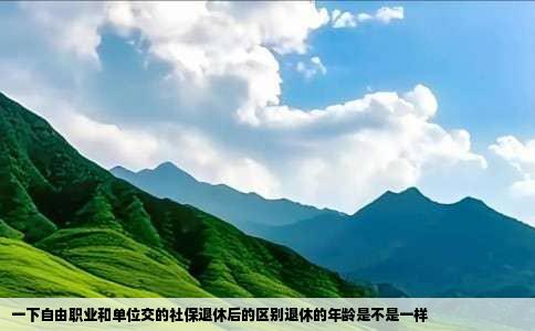 一下自由职业和单位交的社保退休后的区别退休的年龄是不是一样