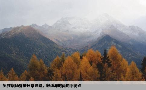 男性职场穿搭日常通勤，舒适与时尚的平衡点